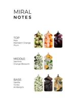 ⁦מאטין מרטין מיראל - Matin Martin Miral - בושם לאישה - 100 מ"ל EDP (מקורי)⁩ – תמונה ⁦4⁩