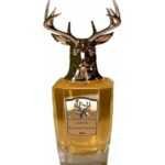 פאנה דורה ברון - Pana Dora Baron - בושם יוניסקס - 100 מ"ל א.ד.פ (מקורי)