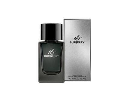 ברברי מיסטר ברברי - Burberry Mr Burberry - בושם לגבר - 100 מ"ל או דה פרפיום