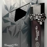 פלאביה דיאמנט נואר - Flavia Diamant Noir - בושם לגבר - 100 מ"ל אד”פ (מקורי)