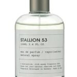 אמפר סטאליון 53 - Emper Stallion 53 - בושם יוניסקס - 100 מ"ל EDP (טסטר)