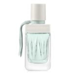 וויברנדס Tester Woman'secret Intimate Daydream - Ybrands Tester Woman'secret Intimate Daydream - בושם לאישה - 100 מל (טסטר)