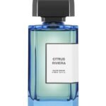 BDK פרפיום | Citrus Riviera EDP 100 ml | בושם יוניסקס | 100 מ"ל - YBrands